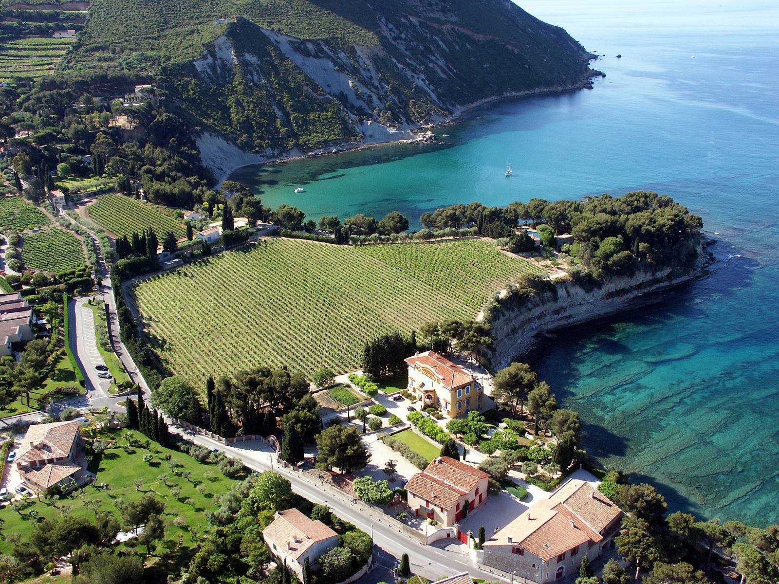 Domaine Clos Sainte Magdeleine, restanques et Méditerranée
